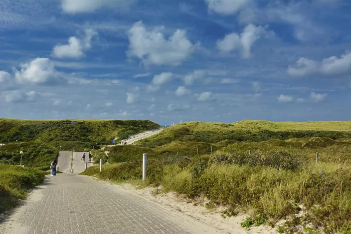 Framed Print : Texel Island Road Print through Sand Dunes Framed Print : Texel Island Road Print through Sand Dunes