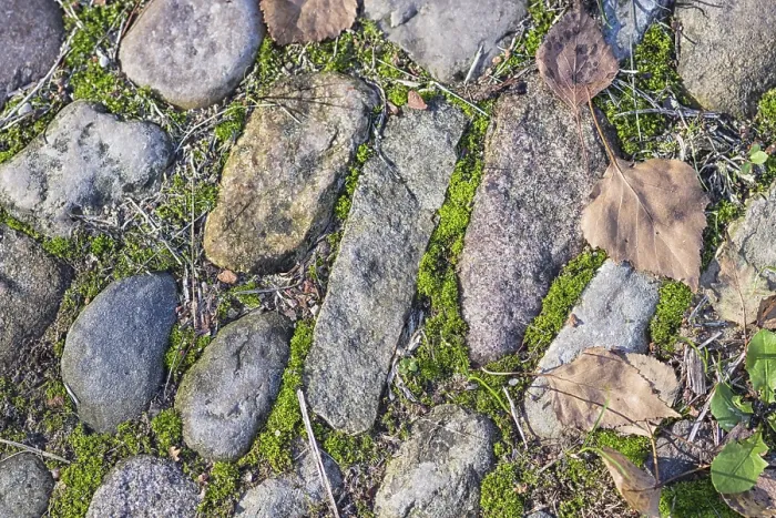 Framed Print : Moss and Lichen Boulder Print Framed Print : Moss and Lichen Boulder Print