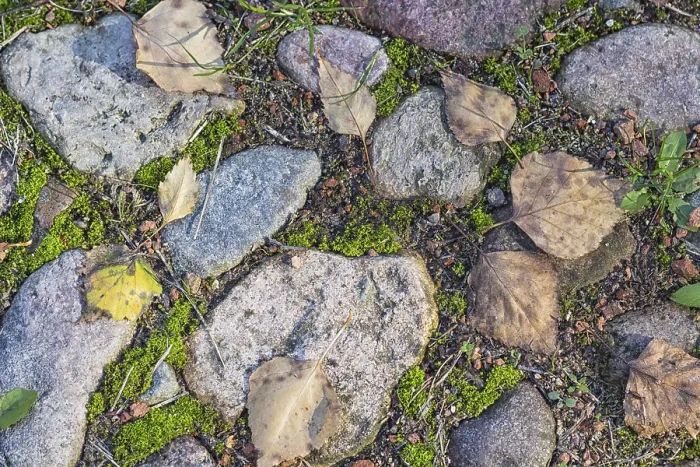 Framed Print : Texture of a Boulder with Moss and Lichen Print Framed Print : Texture of a Boulder with Moss and Lichen Print