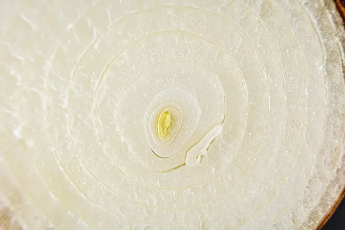 Framed Print : Macro Photography Print: Texture of a Cut Onion Framed Print : Macro Photography Print: Texture of a Cut Onion