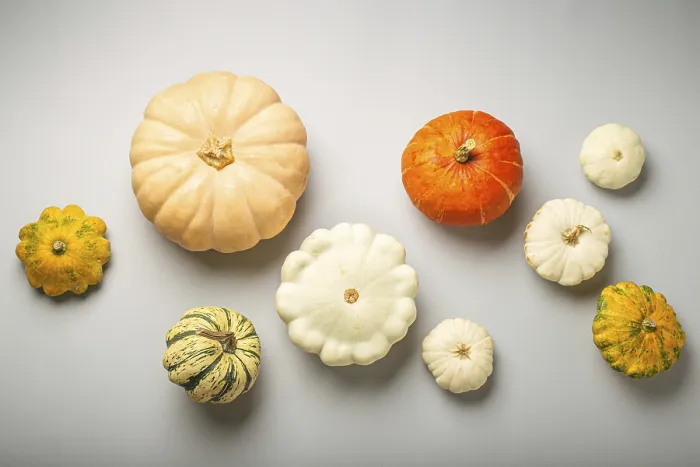 Framed Print : Assorted Pumpkins Print on Light Gray Background Framed Print : Assorted Pumpkins Print on Light Gray Background