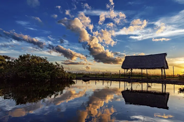 Framed Print : Amazon Pampas Sunset Print Framed Print : Amazon Pampas Sunset Print