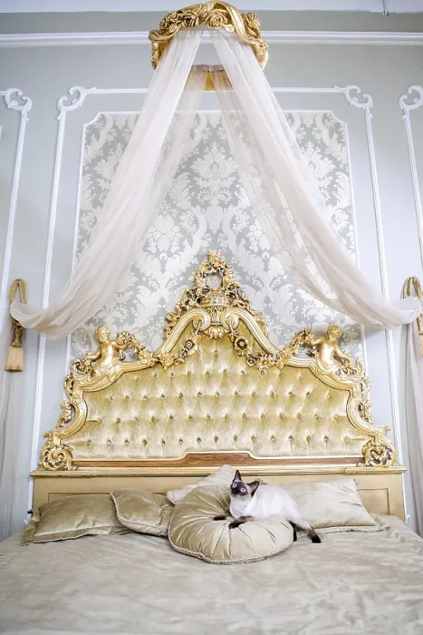 Framed Print : Luxury Cat on Renaissance Baroque Bed Print Framed Print : Luxury Cat on Renaissance Baroque Bed Print