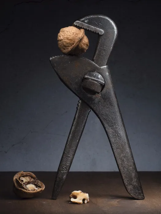 Framed Print : Print: Still Life with Rolling Fork Spanner and Walnuts Framed Print : Print: Still Life with Rolling Fork Spanner and Walnuts