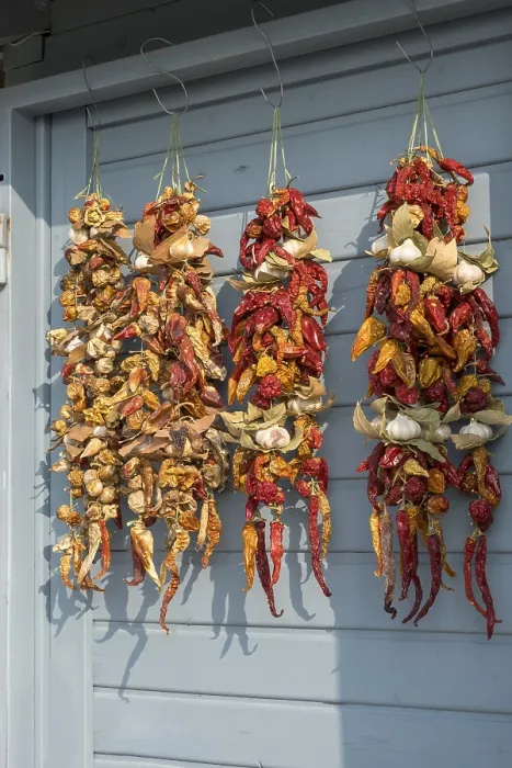Framed Print : Threaded Dried Chilli Peppers, Garlic Print Framed Print : Threaded Dried Chilli Peppers, Garlic Print