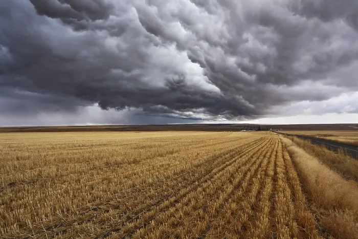 Framed Print : Thunderclouds above fields after harvesting Print, Montana, USA Framed Print : Thunderclouds above fields after harvesting Print, Montana, USA
