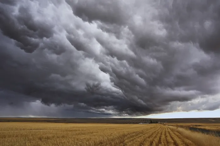 Framed Print : Thunderstorm Print: Montana Fields After Harvesting Framed Print : Thunderstorm Print: Montana Fields After Harvesting