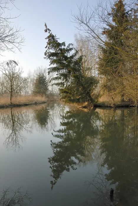 Framed Print : Tilted Tree and Reflections Print, Schmutter River near Augsburg Framed Print : Tilted Tree and Reflections Print, Schmutter River near Augsburg