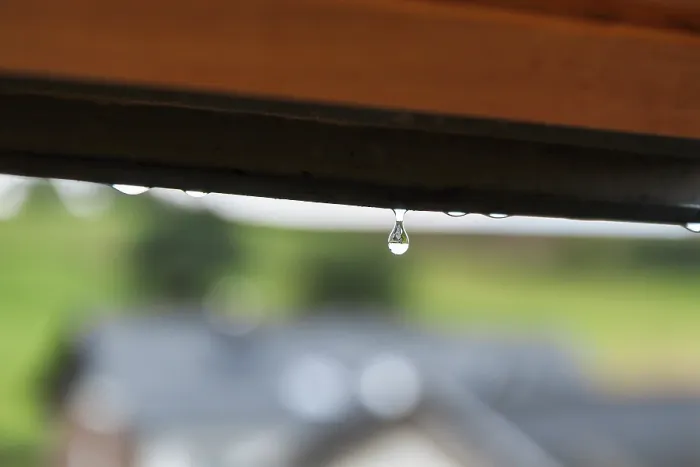 Framed Print : Rainy Summer Print, Germany Framed Print : Rainy Summer Print, Germany