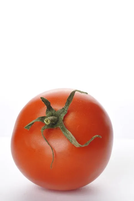 Framed Print : Tomato Tomato Print by [Artist]