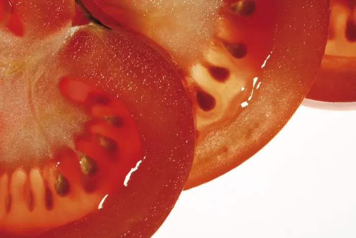 Framed Print : Fresh Tomato Slices Print Framed Print : Fresh Tomato Slices Print