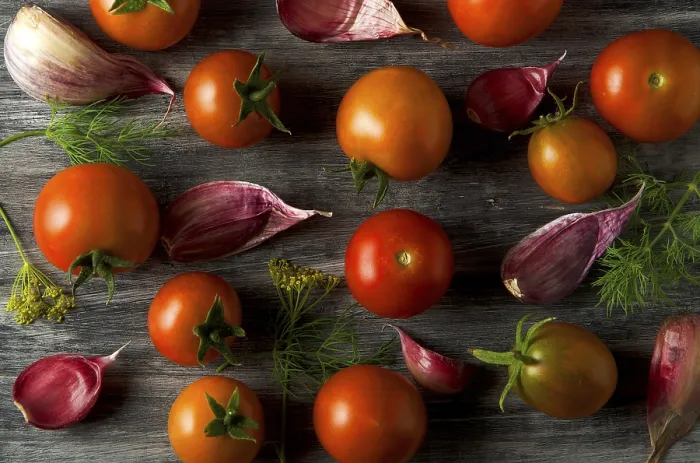 Framed Print : Fresh Tomatoes on Wooden Print Framed Print : Fresh Tomatoes on Wooden Print