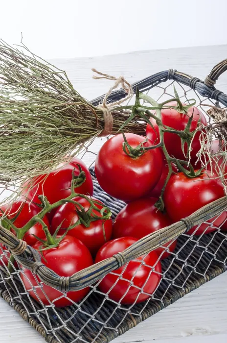 Framed Print : Tomatoes in the Basket Print Framed Print : Tomatoes in the Basket Print