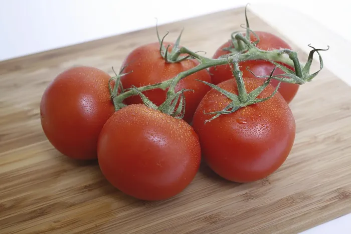 Framed Print : Tomatoes on the Vine Print Framed Print : Tomatoes on the Vine Print