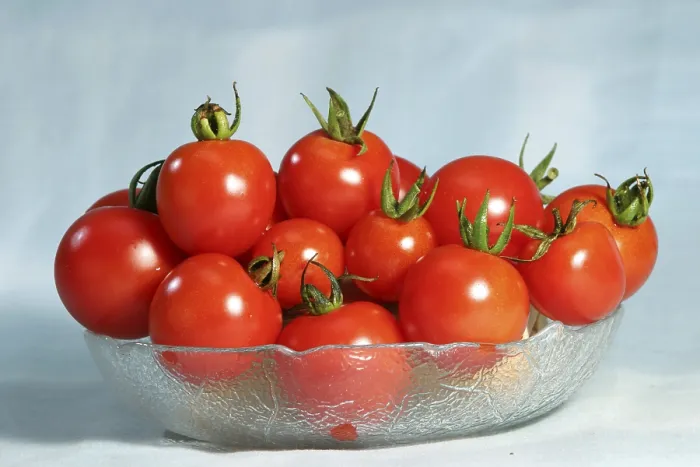 Framed Print : Tomato Still Life Print Framed Print : Tomato Still Life Print