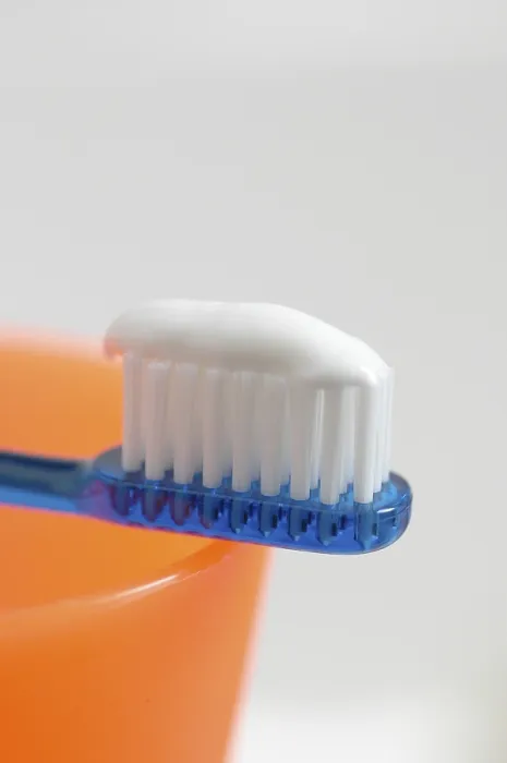 Framed Print : Toothbrush Print by ImageBROKER Framed Print : Toothbrush Print by ImageBROKER