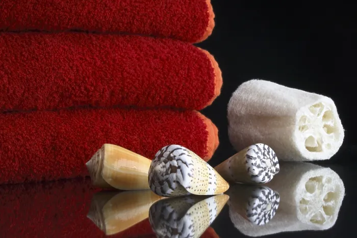 Framed Print : Towels with Shells and Sponge Print Framed Print : Towels with Shells and Sponge Print