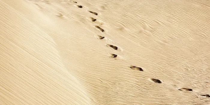 Framed Print : Traces in the Sand Print, Morocco Framed Print : Traces in the Sand Print, Morocco