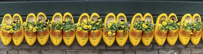 Framed Print : Traditionally Decorated Yellow Clogs Print, Netherlands Framed Print : Traditionally Decorated Yellow Clogs Print, Netherlands