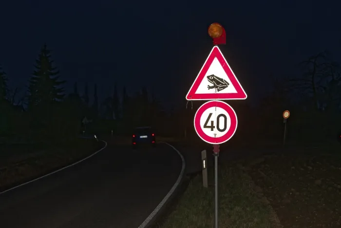 Framed Print : Toad Migration Traffic Sign Print, Forchtenberg, Germany Framed Print : Toad Migration Traffic Sign Print, Forchtenberg, Germany