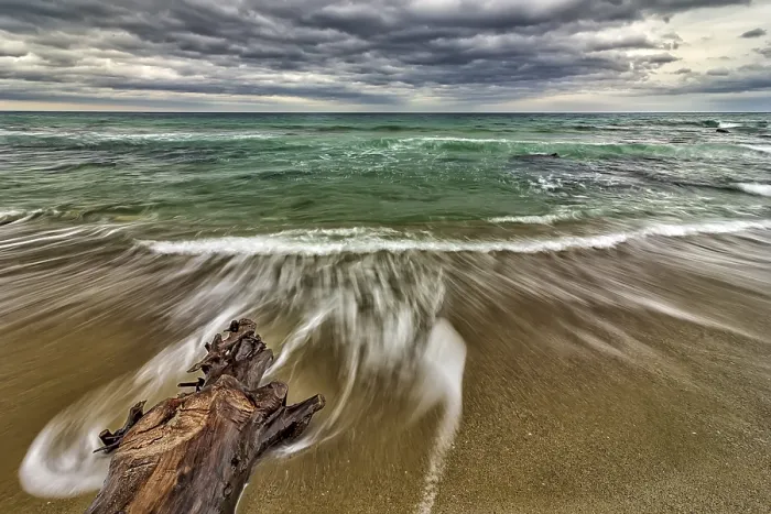 Framed Print : Tree on the Beach with Waves Spill Print Framed Print : Tree on the Beach with Waves Spill Print