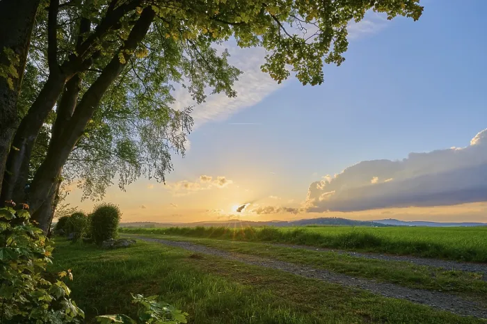 Framed Print : Tree, field, sunset, spring view Print - Roslau, Bavaria Framed Print : Tree, field, sunset, spring view Print - Roslau, Bavaria