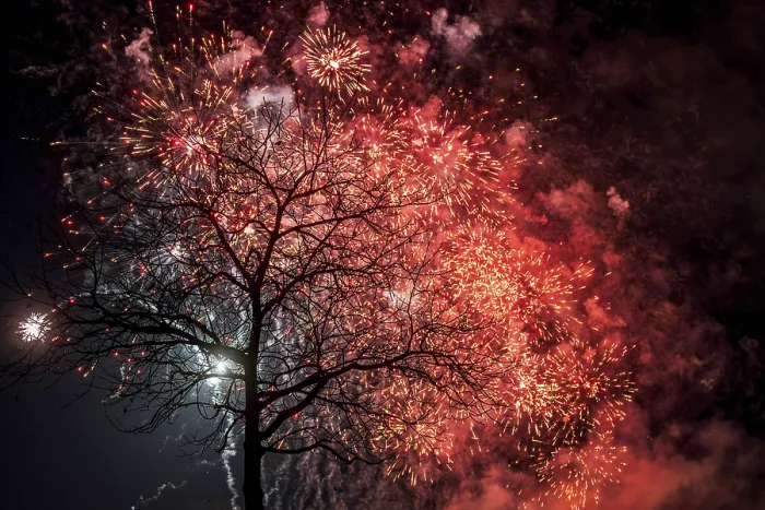 Framed Print : Tree Fireworks Print Framed Print : Tree Fireworks Print