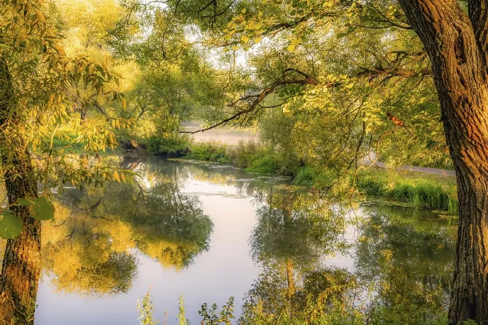 Framed Print : Autumn Landscape Reflection Print Framed Print : Autumn Landscape Reflection Print