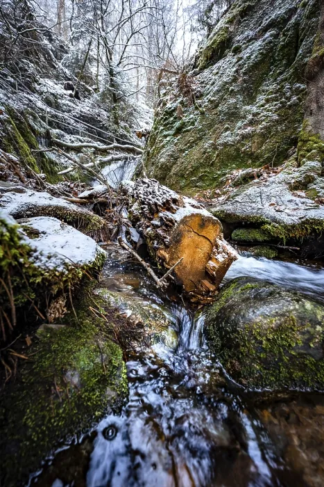 Framed Print : Tree in a stream in winter with snow Print, Gottschlgtal, Germany