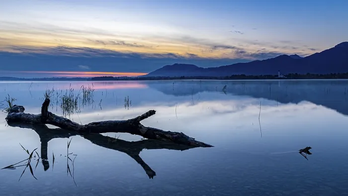 Framed Print : Tree Trunk on Water Print - Blue Hour Reflection Framed Print : Tree Trunk on Water Print - Blue Hour Reflection
