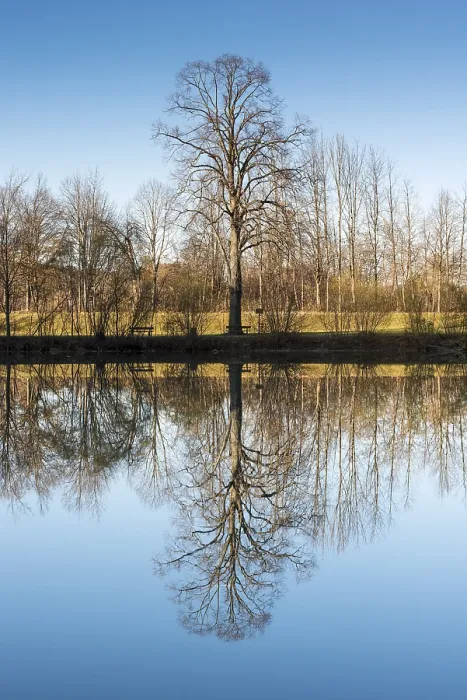 Framed Print : Trees reflected in the Lech river Print, Bavaria, Germany Framed Print : Trees reflected in the Lech river Print, Bavaria, Germany