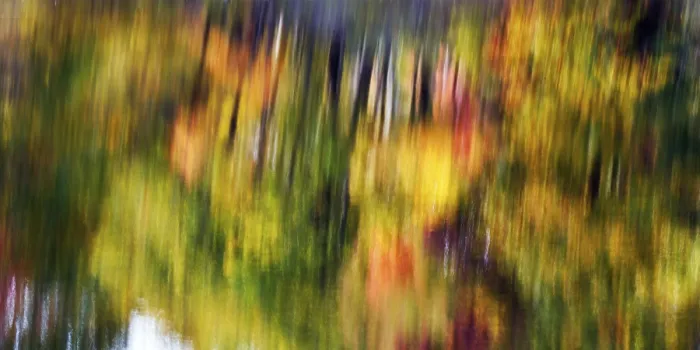 Framed Print : Autumn Reflections Print, Maine River Landscape Framed Print : Autumn Reflections Print, Maine River Landscape