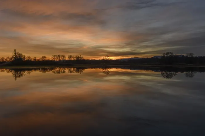 Framed Print : Winter Sunset Print: Trees Reflecting in Bas-Rhin, France Framed Print : Winter Sunset Print: Trees Reflecting in Bas-Rhin, France