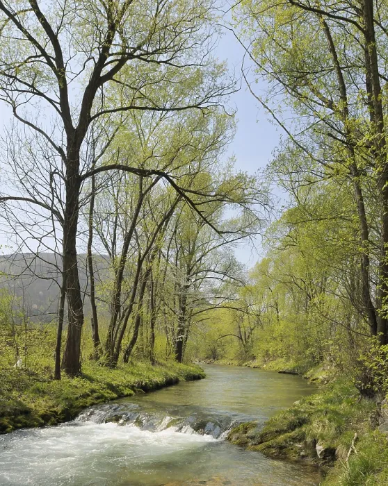 Framed Print : Triesting River in Spring Print, Lower Austria Framed Print : Triesting River in Spring Print, Lower Austria