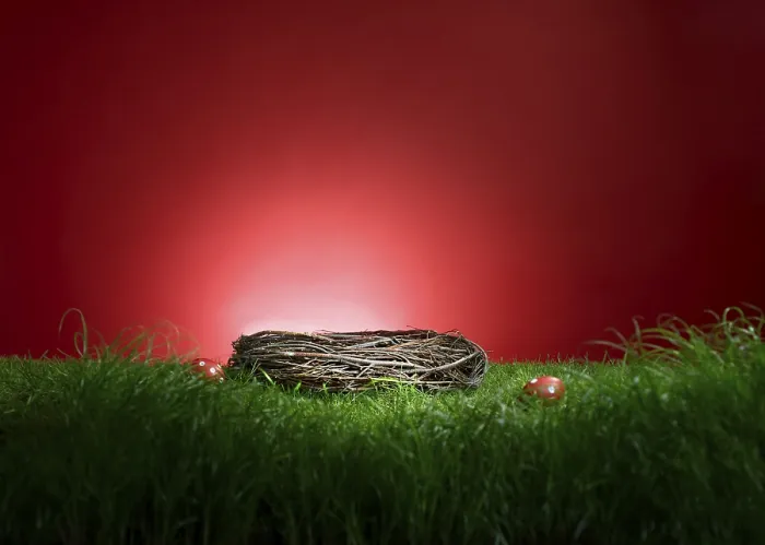 Framed Print : Turf in front of a red background Print #EasterScene Framed Print : Turf in front of a red background Print #EasterScene