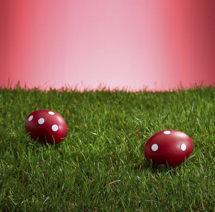 Framed Print : Red Background Print of Turf with Easter Eggs