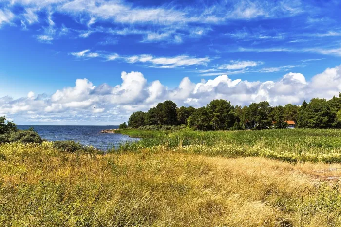 Framed Print : Typical Finnish Coastline Summer Print Framed Print : Typical Finnish Coastline Summer Print