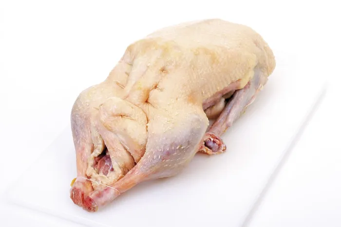 Framed Print : Uncooked Goose Print Framed Print : Uncooked Goose Print