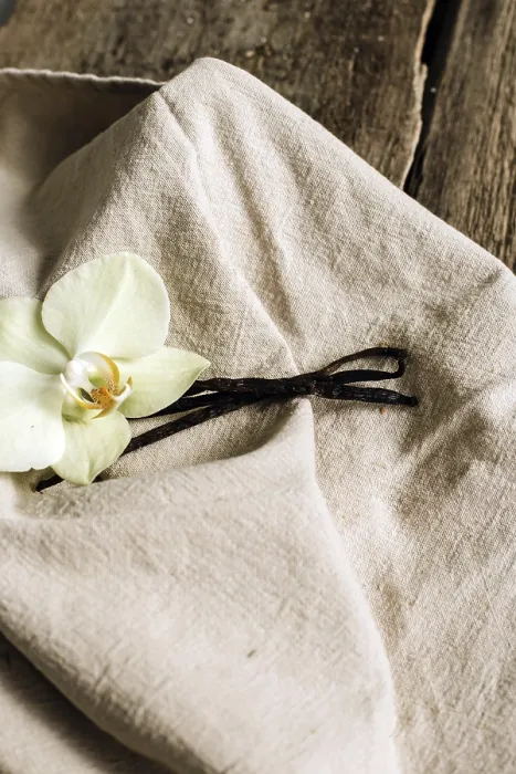 Framed Print : Vanilla stick print on tablecloth Framed Print : Vanilla stick print on tablecloth