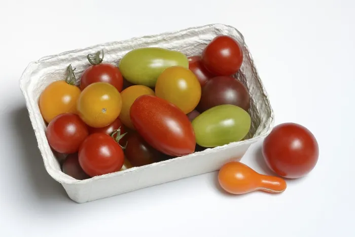 Framed Print : Cherry Tomatoes in Packaging Print, Germany Framed Print : Cherry Tomatoes in Packaging Print, Germany