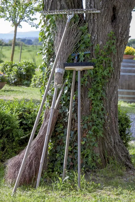 Framed Print : Various Garden Tools Leaning Against a Tree in Tuscany Print Framed Print : Various Garden Tools Leaning Against a Tree in Tuscany Print