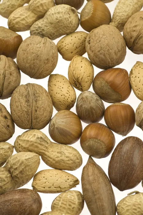 Framed Print : Various Nuts in Shells Print Framed Print : Various Nuts in Shells Print