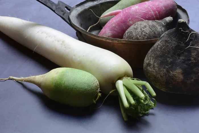 Framed Print : Various Radishes Print, Raphanus Sativus Framed Print : Various Radishes Print, Raphanus Sativus