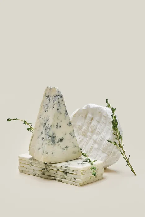 Framed Print : Blue Mold Cheese Print Collection Framed Print : Blue Mold Cheese Print Collection