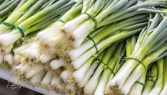 Framed Print : Spring Onion Bunch Market Stall Print Framed Print : Spring Onion Bunch Market Stall Print