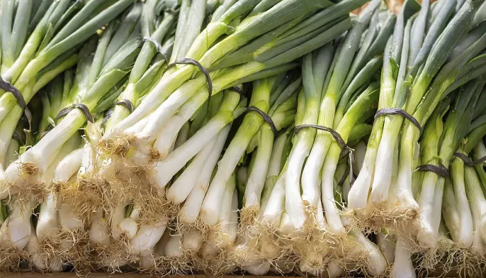 Framed Print : Spring Onion Bunch Market Stall Print Framed Print : Spring Onion Bunch Market Stall Print