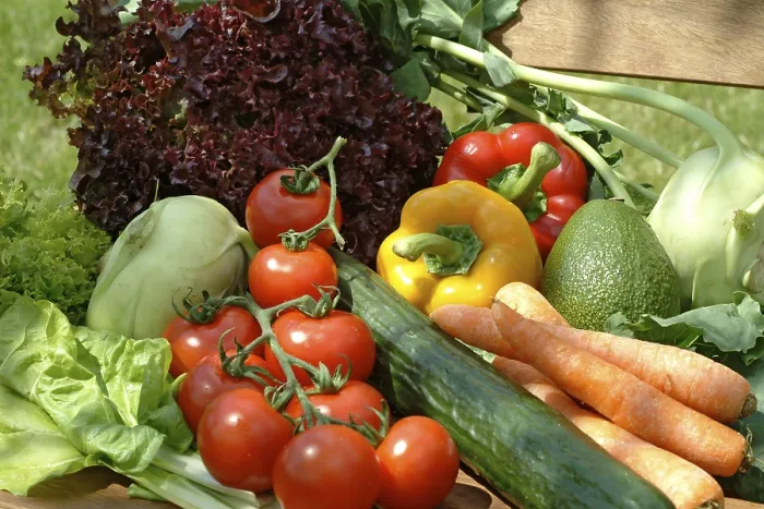 Framed Print : Vegetables Print by imageBROKER Framed Print : Vegetables Print by imageBROKER