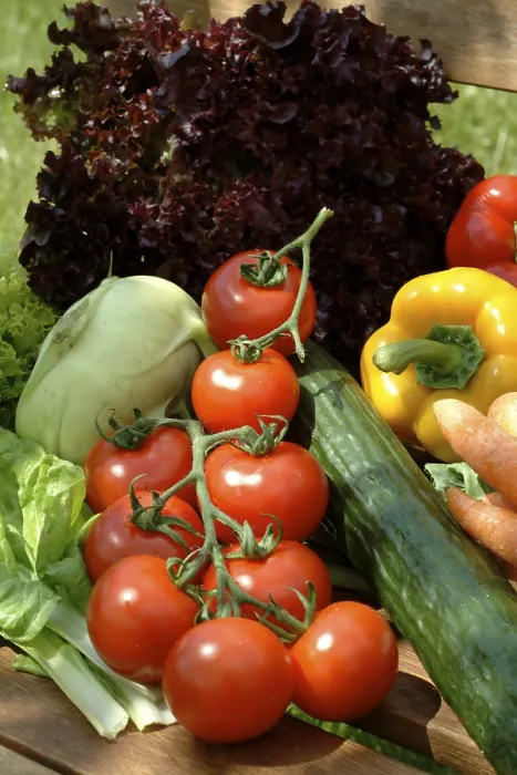 Framed Print : Vegetables Print by imageBROKER Framed Print : Vegetables Print by imageBROKER