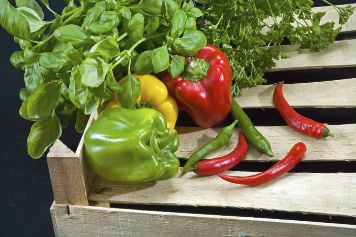 Framed Print : Vegetables Print by imageBROKER Framed Print : Vegetables Print by imageBROKER