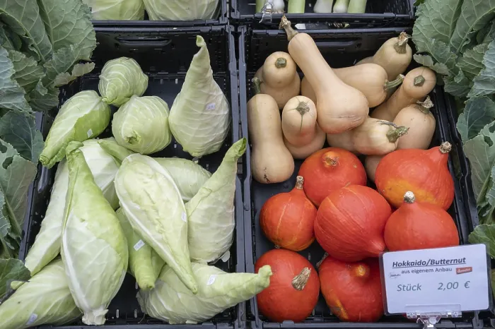 Framed Print : Vegetables Print: Pointed Cabbage and Pumpkins in a Box Framed Print : Vegetables Print: Pointed Cabbage and Pumpkins in a Box
